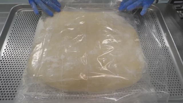 Wheat flour dough prepared for fermentation on a stainless steel tray