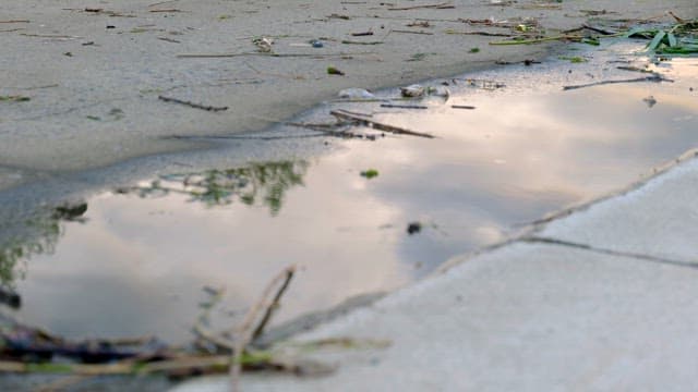 Reflection in a puddle on a sidewalk