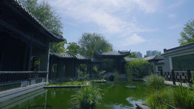 Meditating Quietly Under a Clear Sky at Wolhwawon