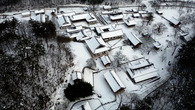 Scenery of snow-covered forest and temple