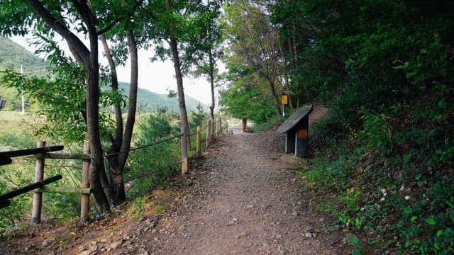 Walking trail in a serene forest with green trees and a pathway sign
