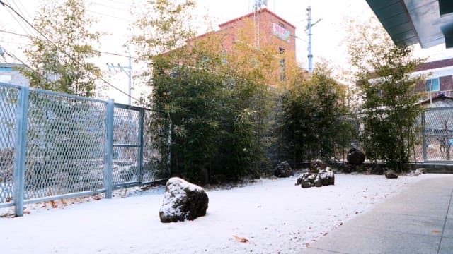 Snowy Backyard in the City
