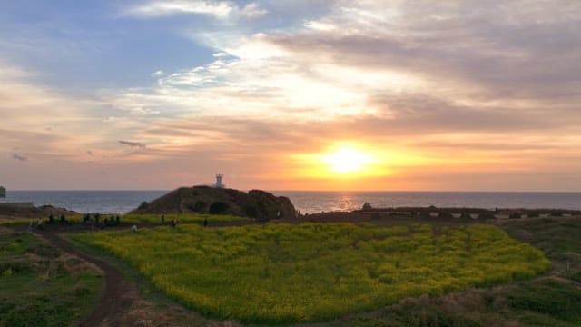 Sunset over a field with a lighthouse