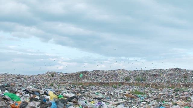 Birds Flying Over a Vast Landfill Site