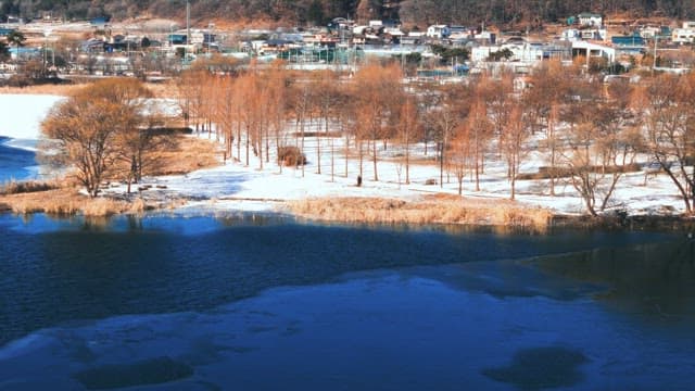 Winter scene with icy lake and bare trees