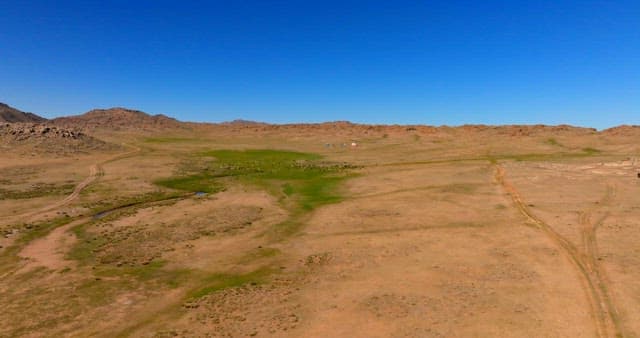 Herd of livestocks moving on a vast plain