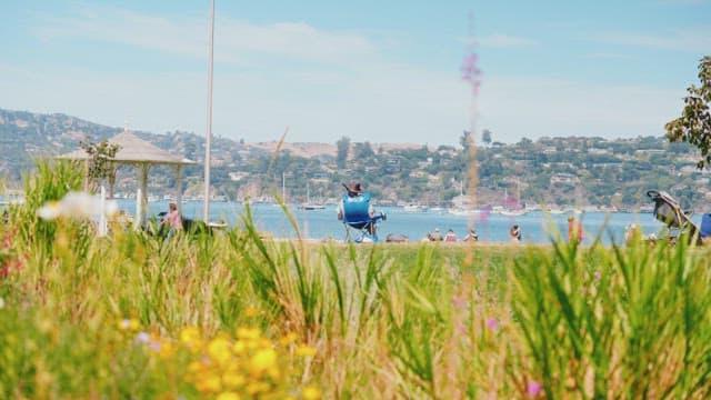 Relaxing Day by the Seaside Park