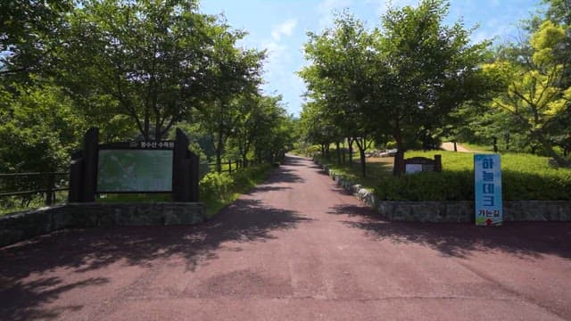 A Serene Path through Lush Green Park