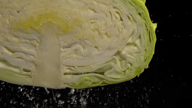 Fresh cabbage with water droplets