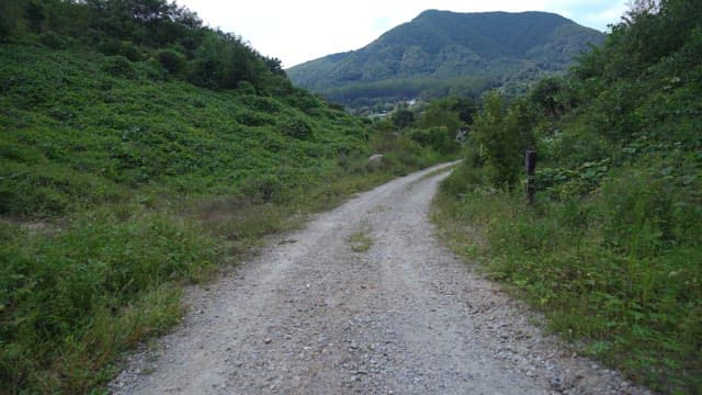 Green Country Road Scenery with Mountains in the Distance