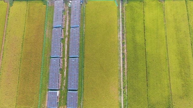 Expansive farmland with solar panels