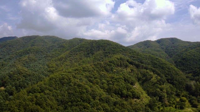 Serene Mountain Scenery with Lush Greenery