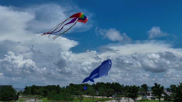 Colorful kites flying in a clear sky