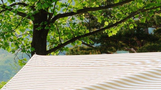 Striped canopy under the lush green trees