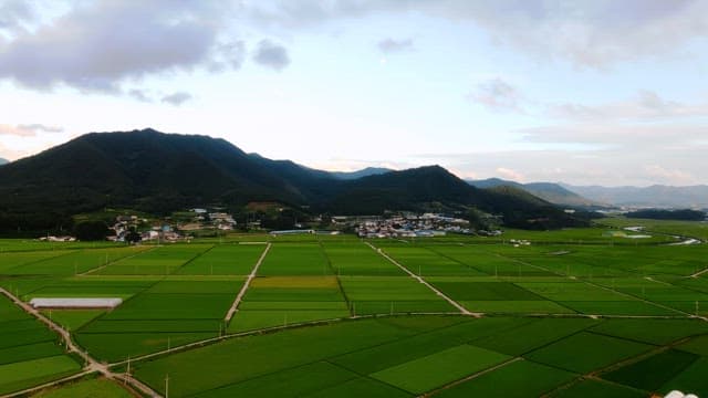 Expansive green fields with distant mountains