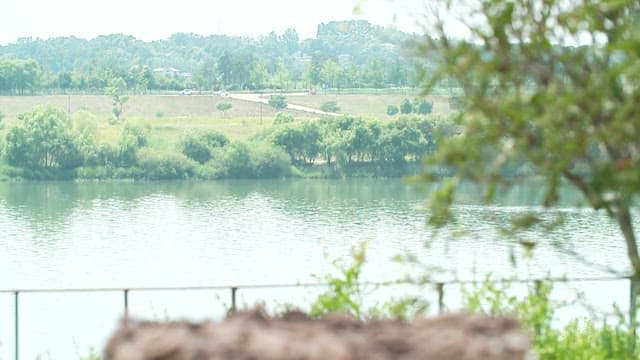Mushrooms in a basket by a riverside