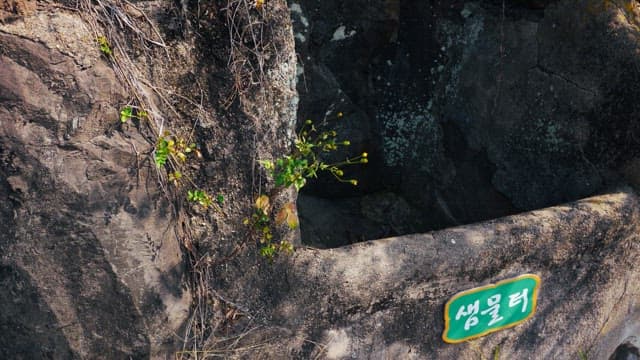 Green name tag for an old spring water site made of rock