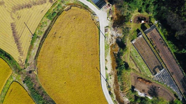 Rural landscape with fields and greenhouses