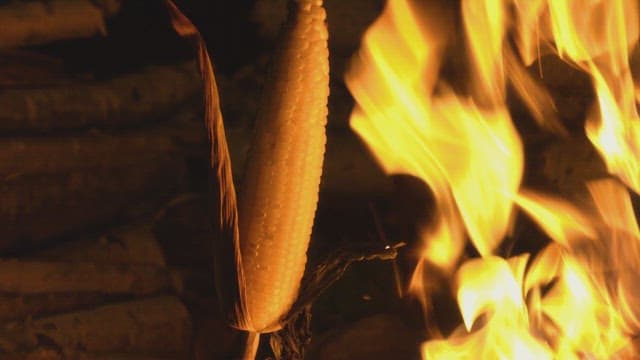 Corn roasting over an open flame