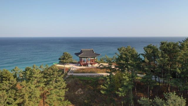Scenic View of a Coastal Pavilion Surrounded by Trees