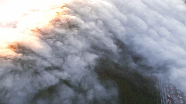 Clouds covering a forest at sunrise