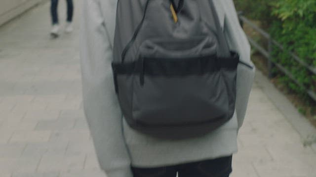 Students walking along a tree-lined sidewalk on a cloudy day