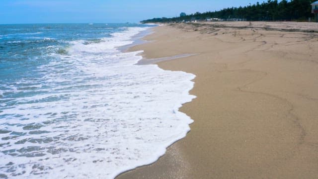 Serene Beachside with Gentle Waves