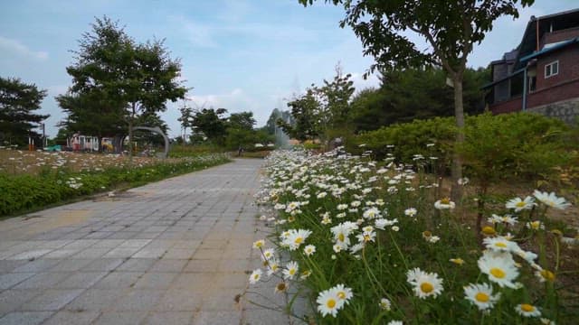 Peaceful Park with Blooming Daisies