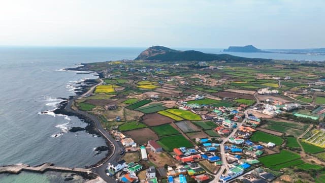 Coastal farmland with colorful fields