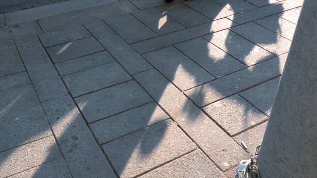 Shadows on a city sidewalk