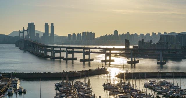 Evening view of a bustling port city with tall skyscrapers and bridge