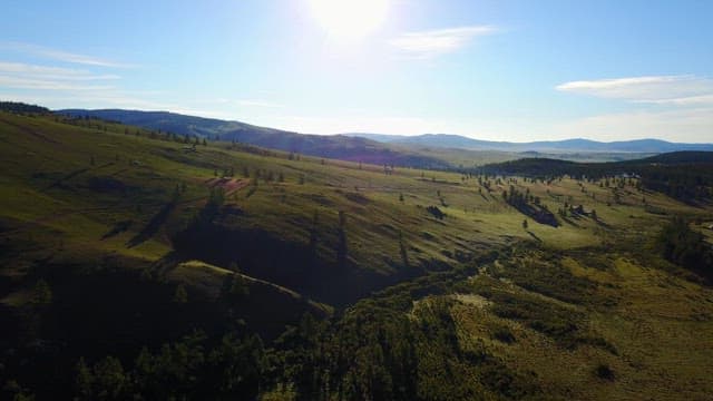 Expansive green landscape with forests