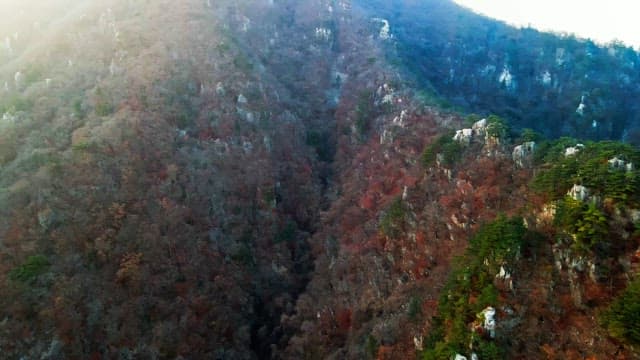 Panoramic view of a mountainous region with autumn foliage