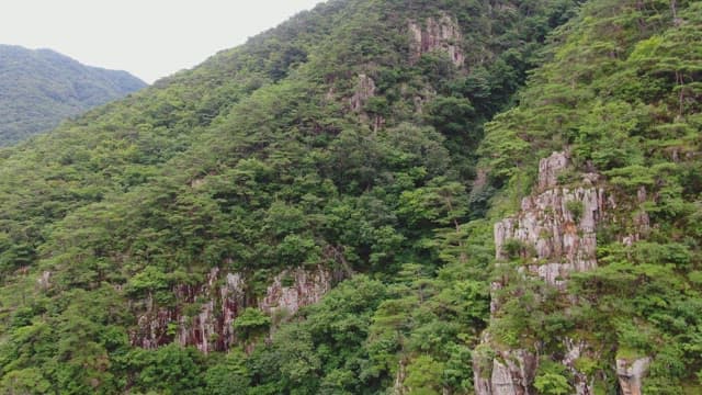 Lush green mountains with rocky cliffs