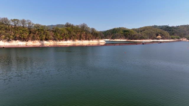 Tranquil lake surrounded by lush trees