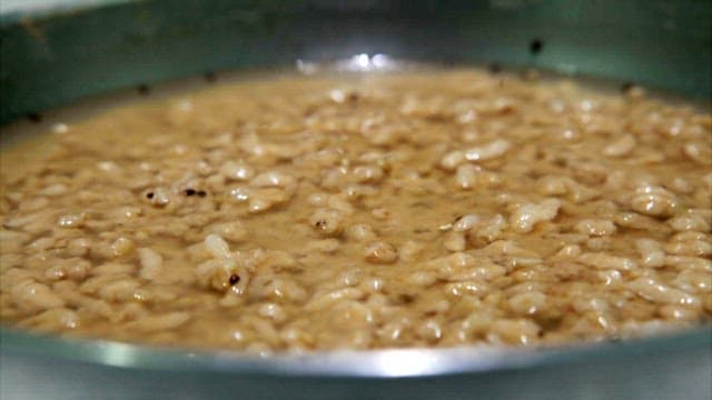 Detailed surface of fermented brown rice leaven