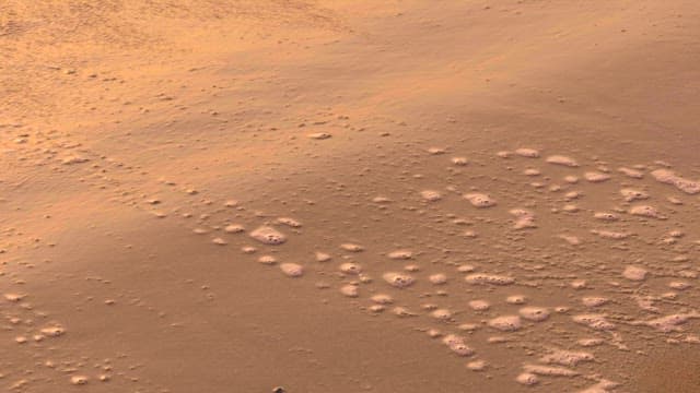 Sunset waves glistening on sandy beach