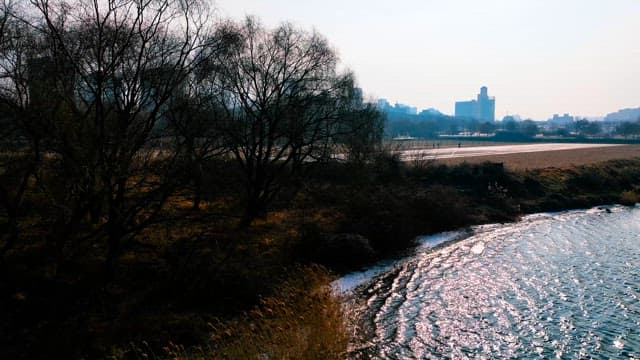 Quiet Hangang Park in Contrast to the Bustling Cityscape
