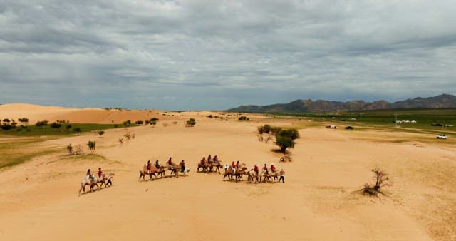 Camel caravan crossing a vast desert