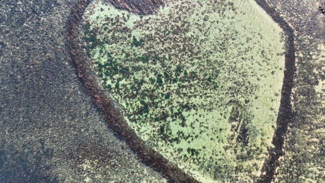 Heart-shaped rock formation by the sea