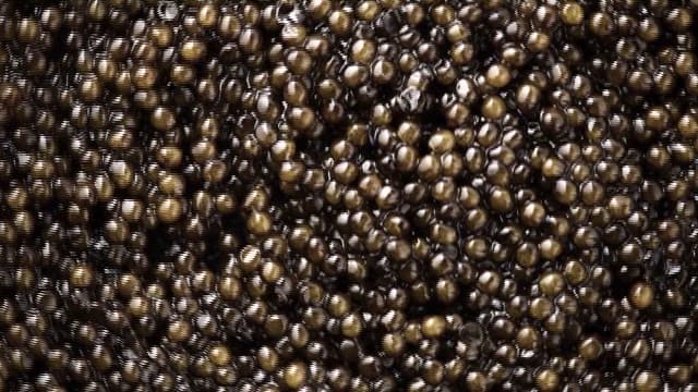 Caviar, Exclusive Ingredient from the Sea