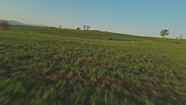 Vast green fields under a clear sky