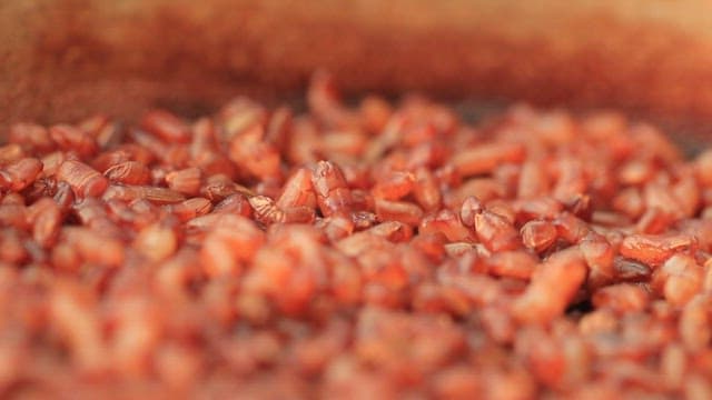 Glossy brown rice cooked