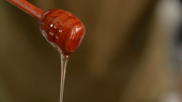 Pouring Honey on Appetizers with a Wooden Club