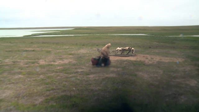 Man Moving Camping Equipment Across Open Fields