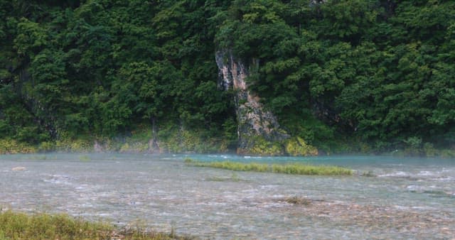 Serene River Flowing Through a Lush Forest