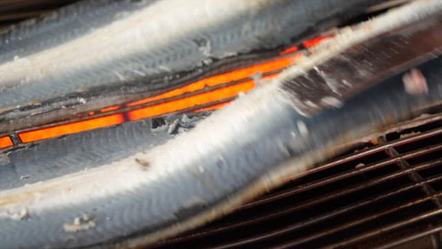 Eel grilled on a hot grill