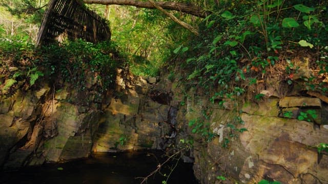 Small serene pond surrounded by mossy rocks and lush greenery