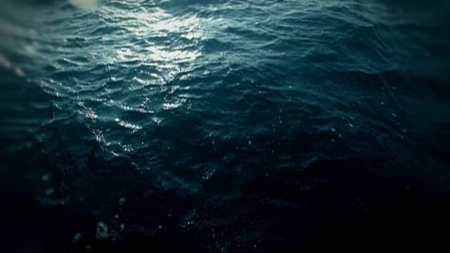 Enigmatic Underwater Scenes with Broken Rope