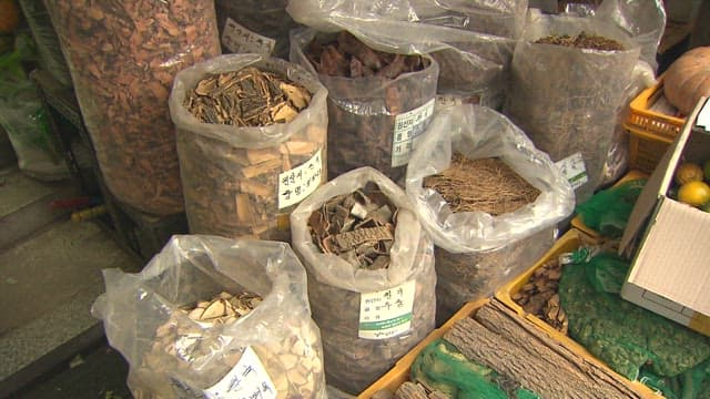 Traditional herbal medicine shop with various herbs